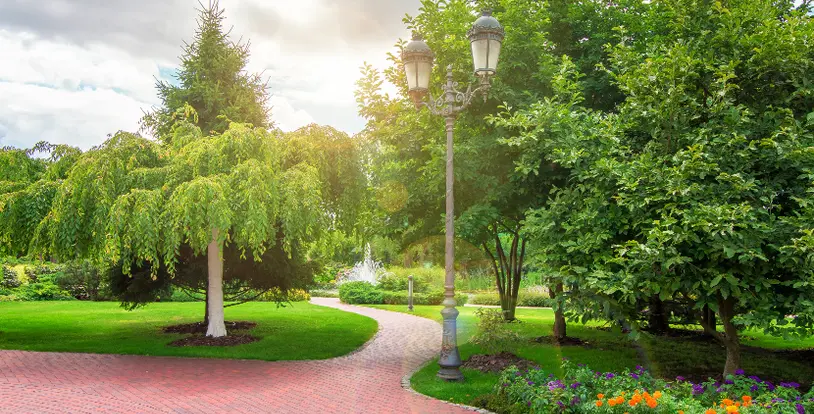 Best Mulch for Commercial Property